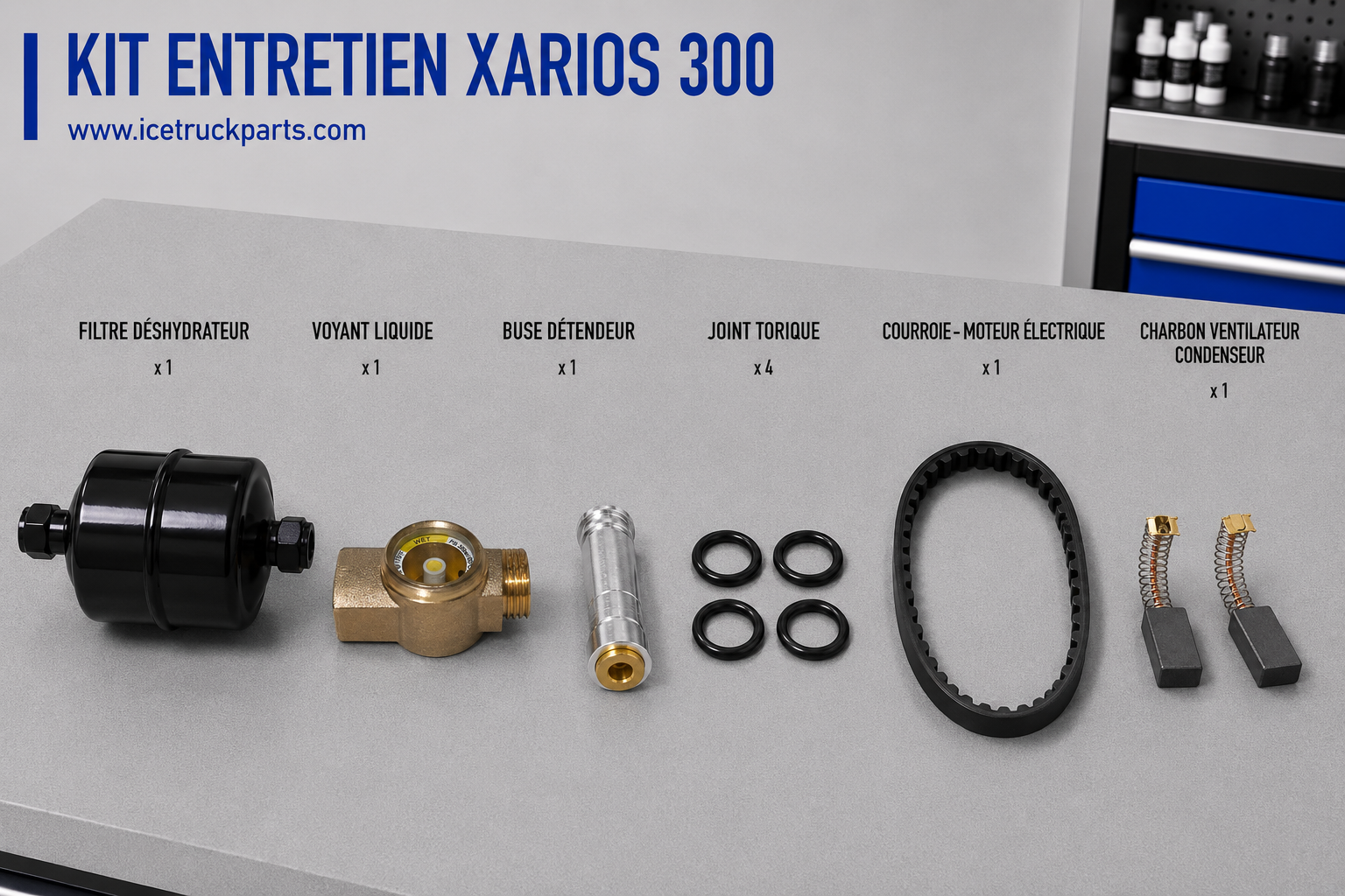 Kit entretien Carrier Xarios 300 — Révision complète